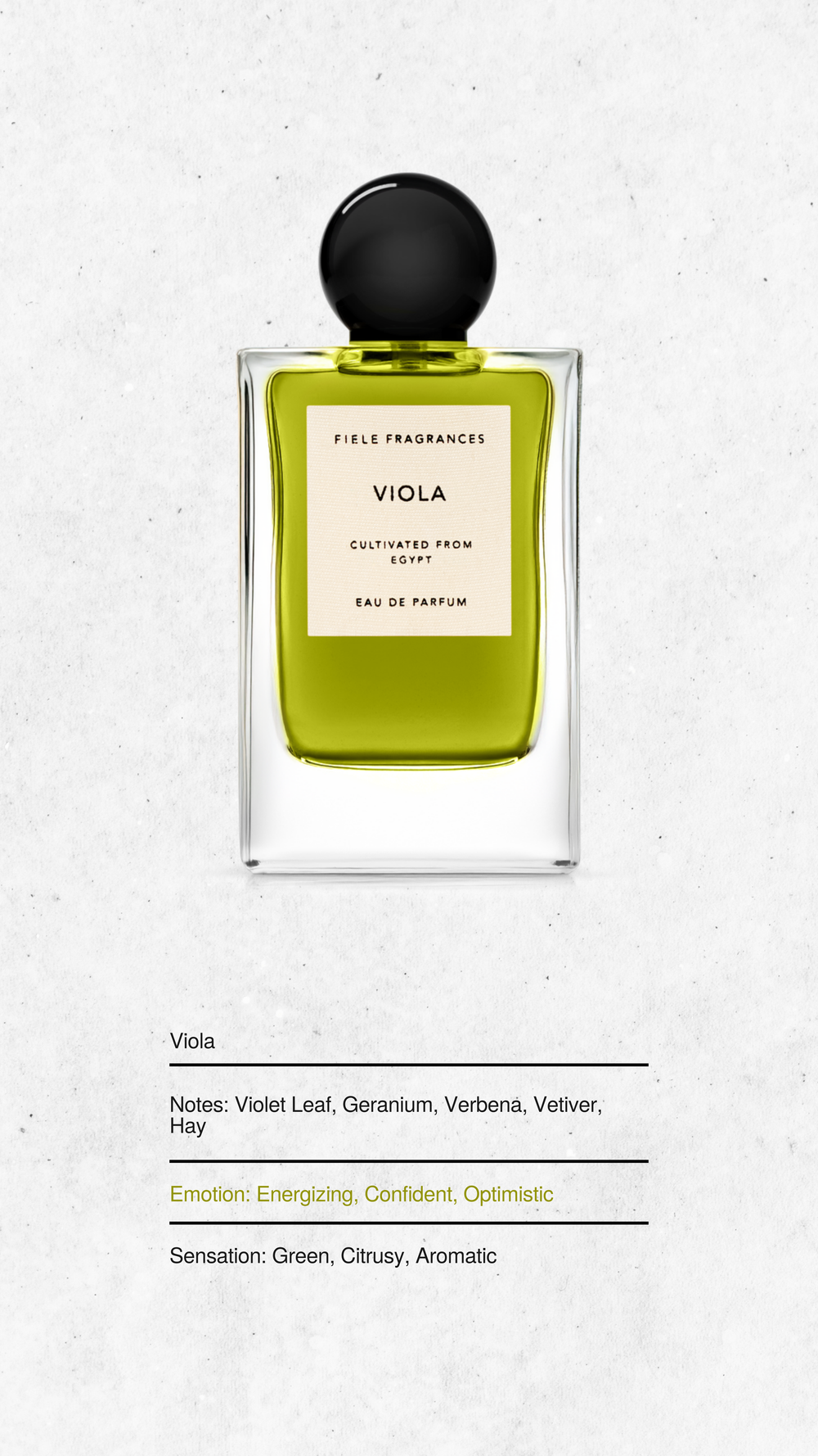 VIOLA | FIELE FRAGRANCES